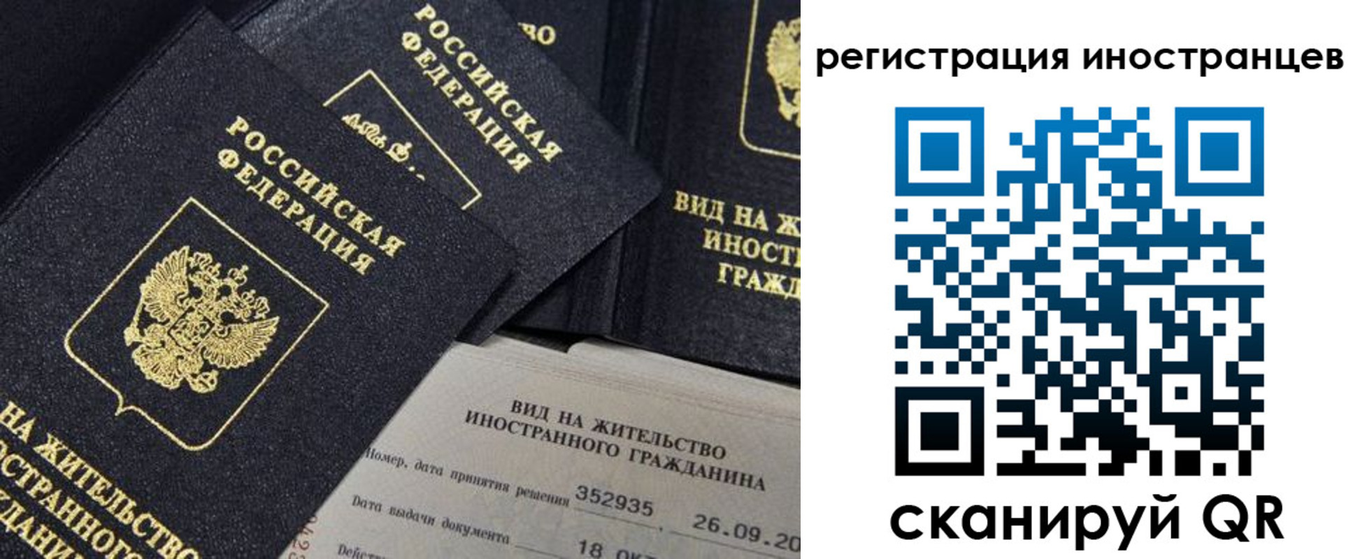 временная регистрация гарантия в Лесном